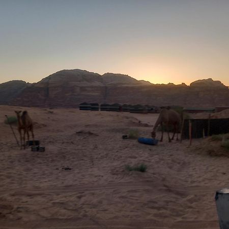 Bedouin Host Camp& With Tour Hotel Wadi Rum Exterior photo