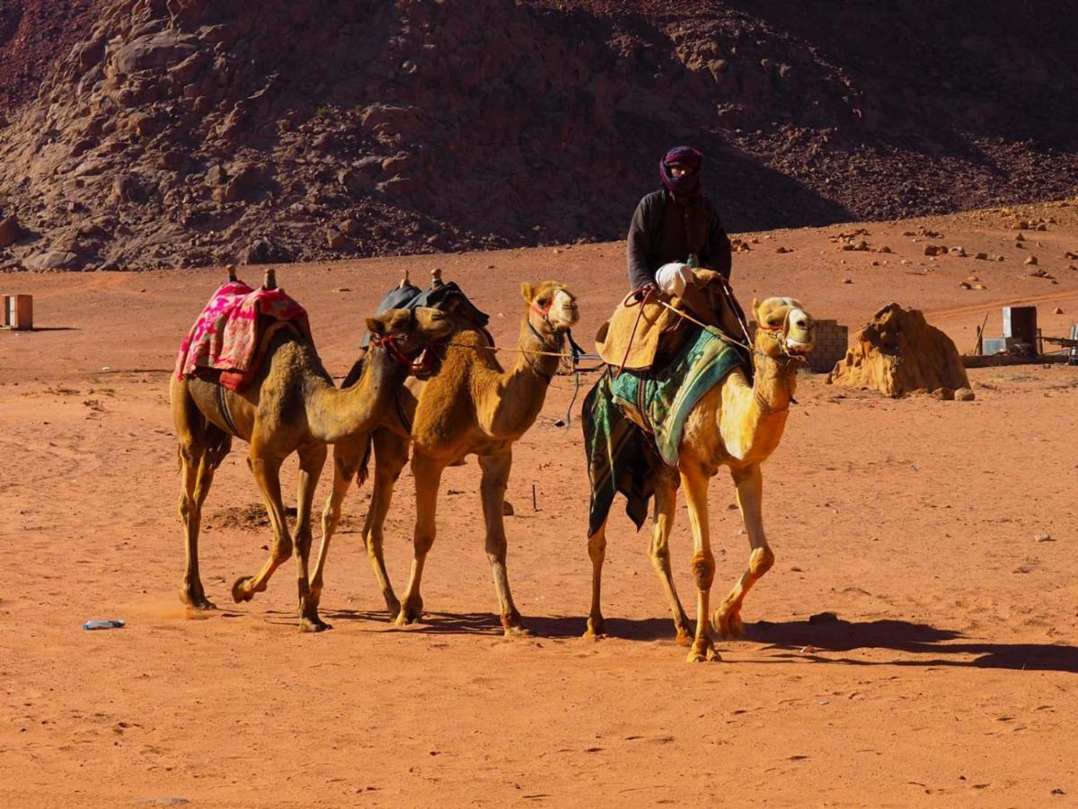 Bedouin Host Camp& With Tour Hotel Wadi Rum Exterior photo